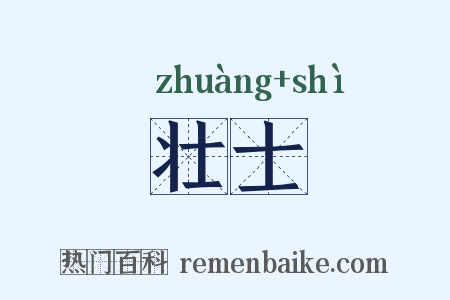 壮士是什么意思的图片